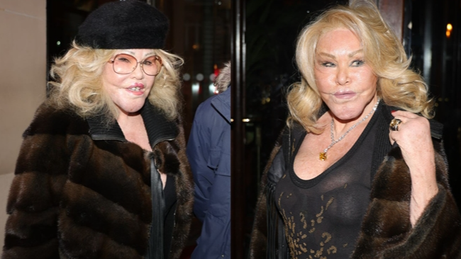 Jocelyn Wildenstein