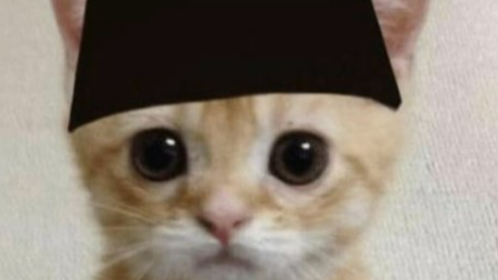 PP Kucing oyen pakai peci ramadhan oleh woa wao 