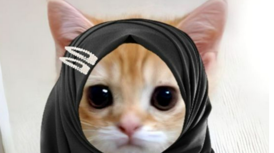 PP kucing oyen pakai hijab kekinian