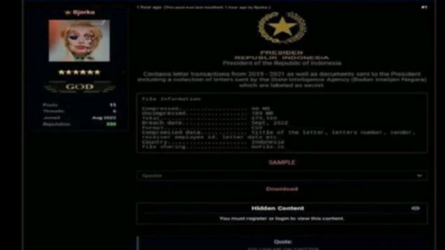 Hacker Bjorka kembali membuat gaduh dengan menjual data yang diduga milik Presiden Republik Indonesia. (Istimewa)